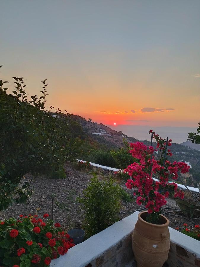 Traditional Studio Chora Patmos Exterior photo